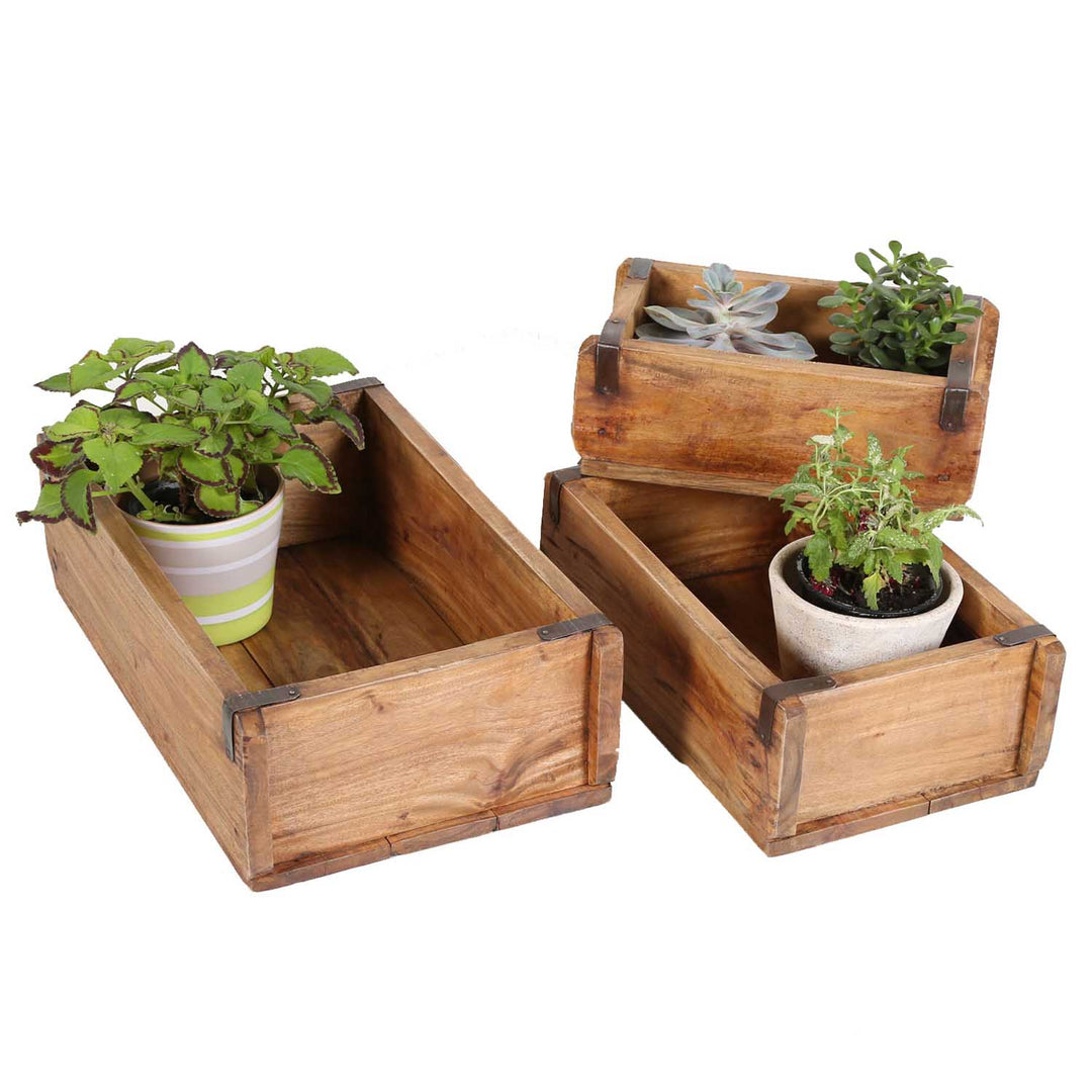 Plant box Gino set of 3