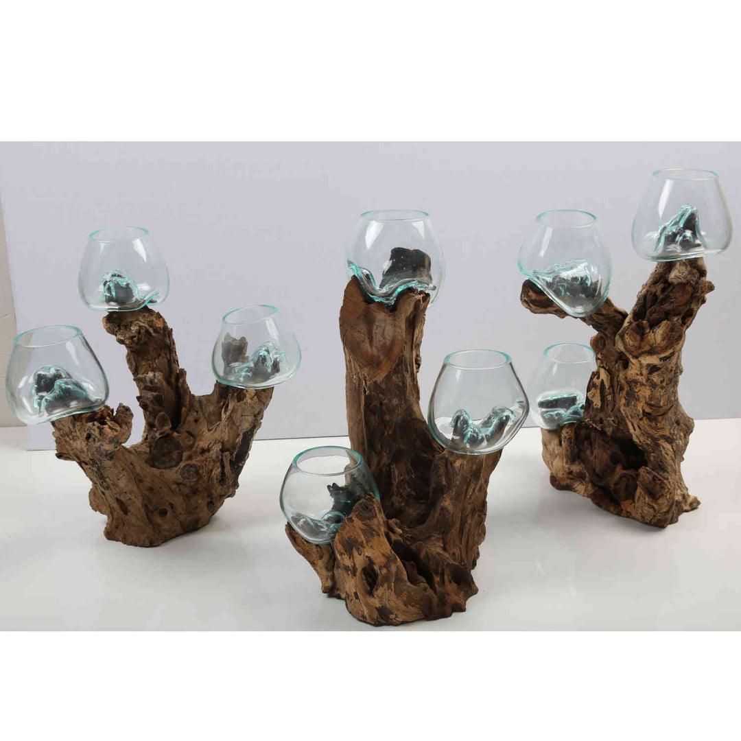 Three glass vases 12 cm on burl wood