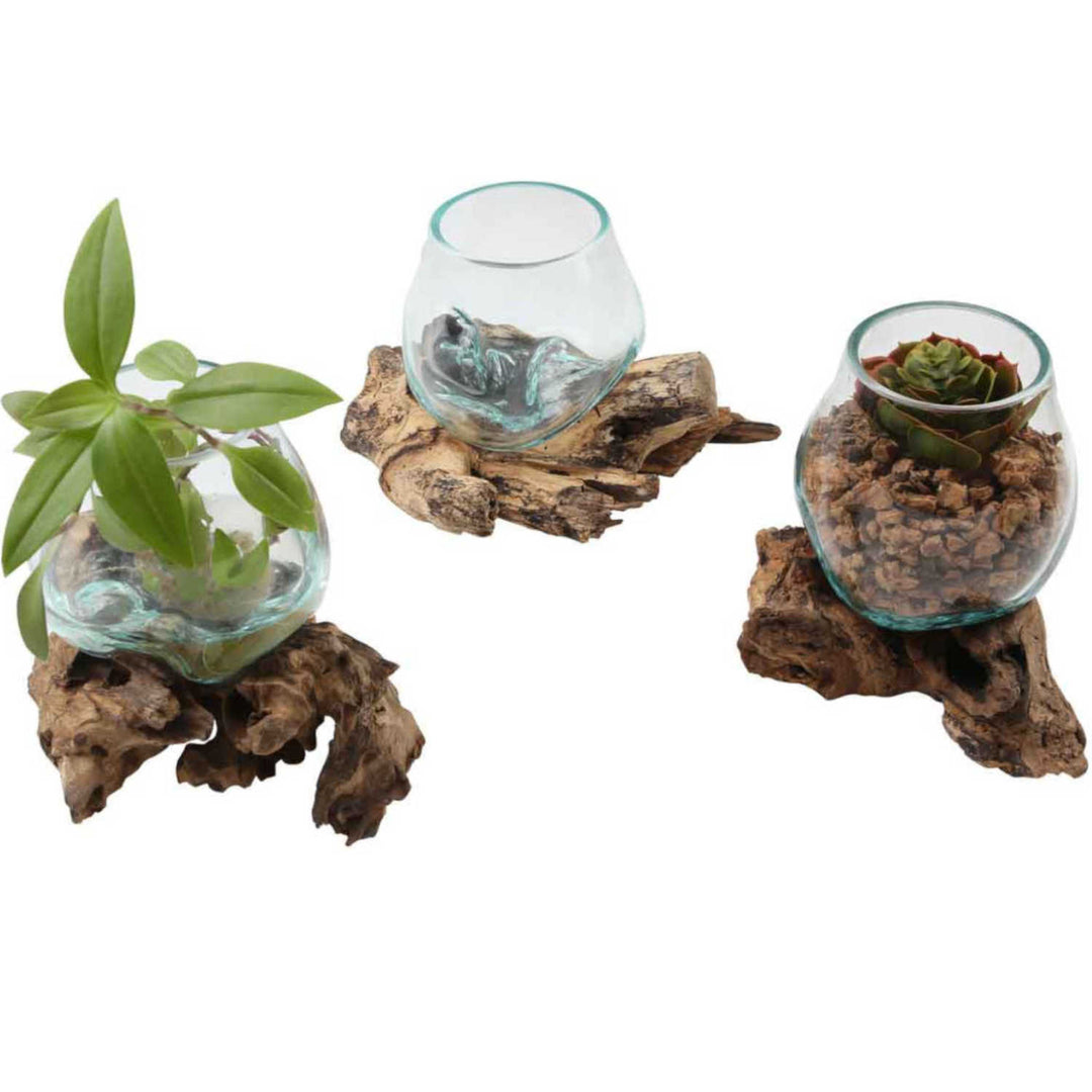 Glass vase on root wood A12