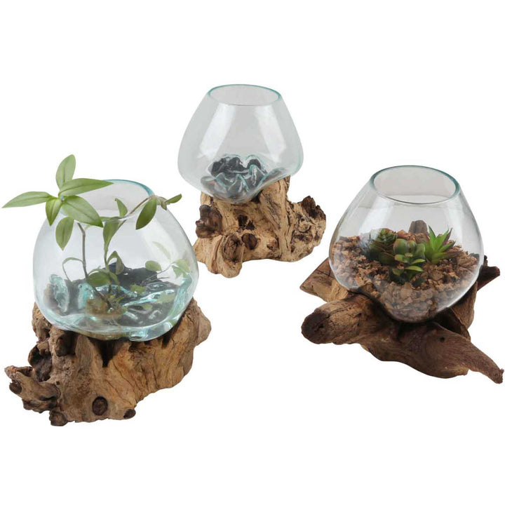 Glass vase on root wood A20